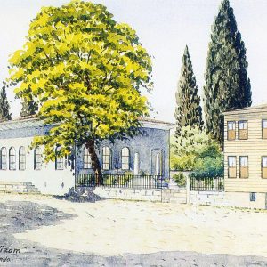 6-a-suheyl-unverin-bakisi-ve-fircasiyla-silivrikapidaki-seyyid-nizam Tamamlayıcı tıbba dair metin dışı unsurlar, fevâid